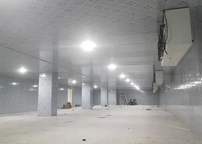 1000平方メートルの農産物低温貯蔵室