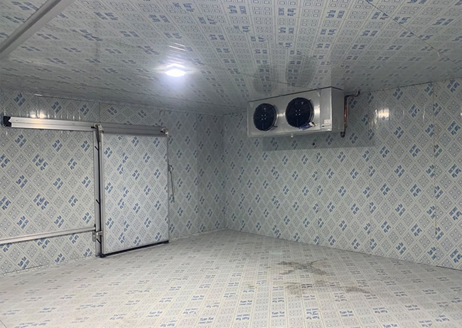 フィリピンにおける食品冷凍冷蔵室建設