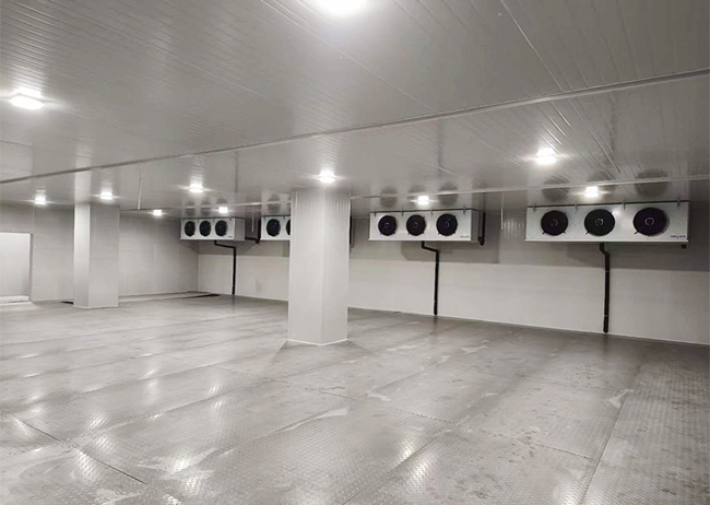 大型水産物ブラスト冷凍冷蔵倉庫建設プロジェクト