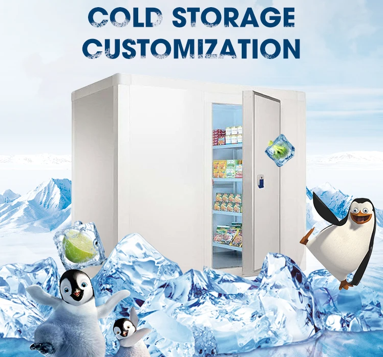 ARTECOウォークインフリーザー、冷凍肉、冷凍魚用コールドルーム 1