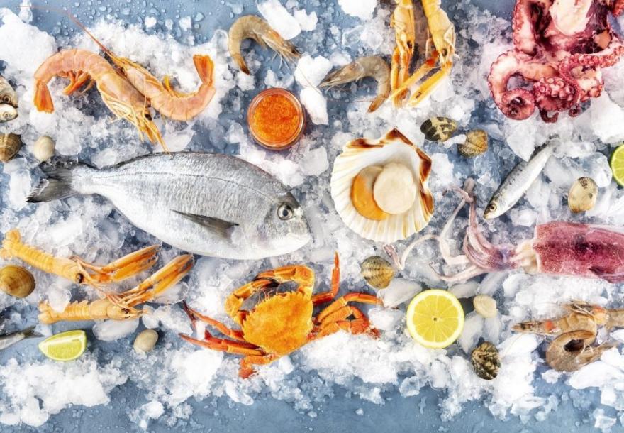 ARTECOウォークインコールドルームモジュラー冷凍庫海産物、冷凍魚用 2