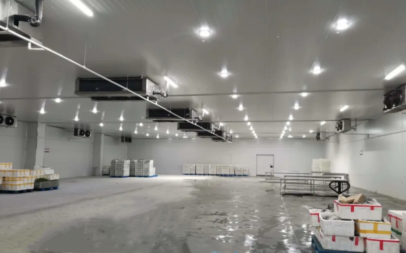 冷凍部屋装置送風フリーザーの価格 肉および魚のための冷たい貯蔵の価格 4