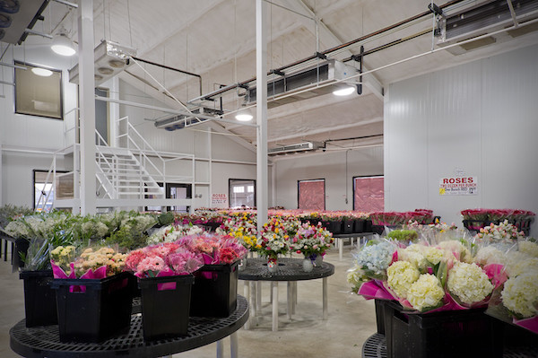 ARTECOフラワー・コールドルーム 1 ARTECOフラワー・コールドルーム 1