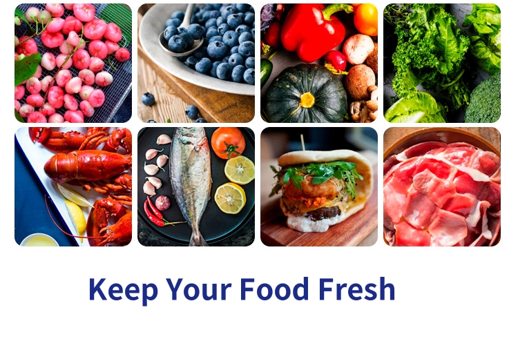 6ドアエアクールアップライト冷凍庫/チラーデュアル温度ステンレス鋼リーチイン冷蔵庫 6 6ドアエアクールアップライト冷凍庫/チラーデュアル温度ステンレス鋼リーチイン冷蔵庫 6