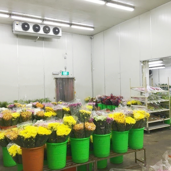 ARTECOフラワー・コールドルーム