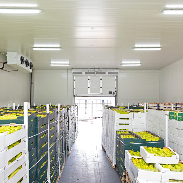ARTECO フルーツ用業務用冷蔵室
