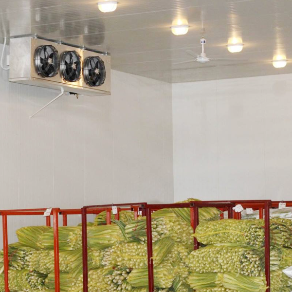 ARTECO特注業務用青果保管庫