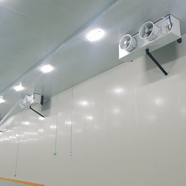 冷凍部屋装置送風フリーザーの価格 肉および魚のための冷たい貯蔵の価格