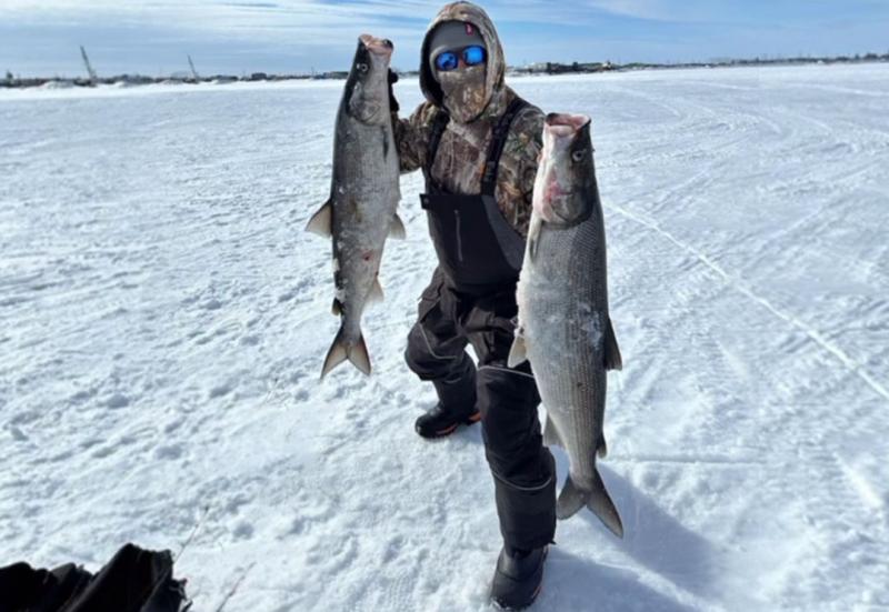 ARTECO alaska client