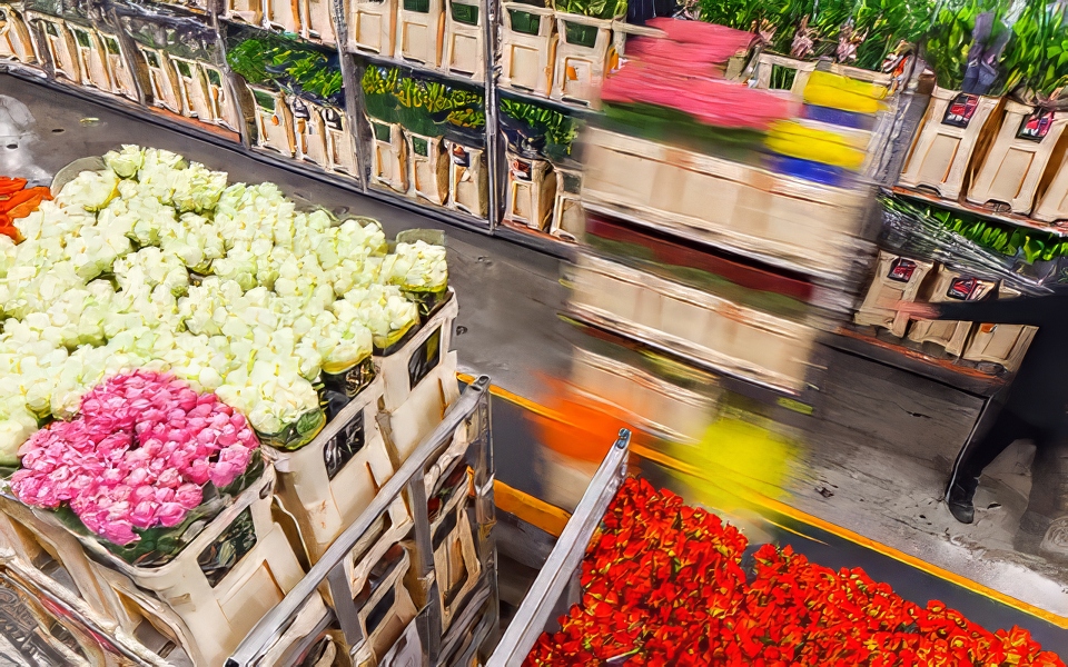 フラワーストレージ