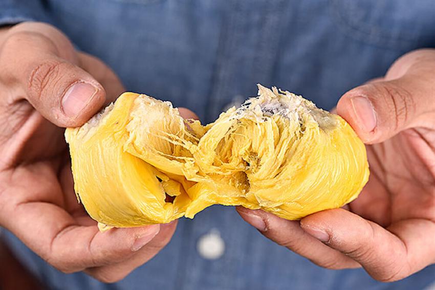 ドリアン貯蔵を極める: ARTECOのマレーシアでのサクセスストーリー