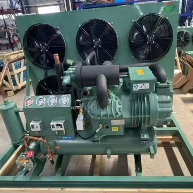 12HP は Bizer の圧縮機 4Pes-12Y -15℃への -35℃が付いている空気によって冷却された凝縮の単位をカスタマイズしました