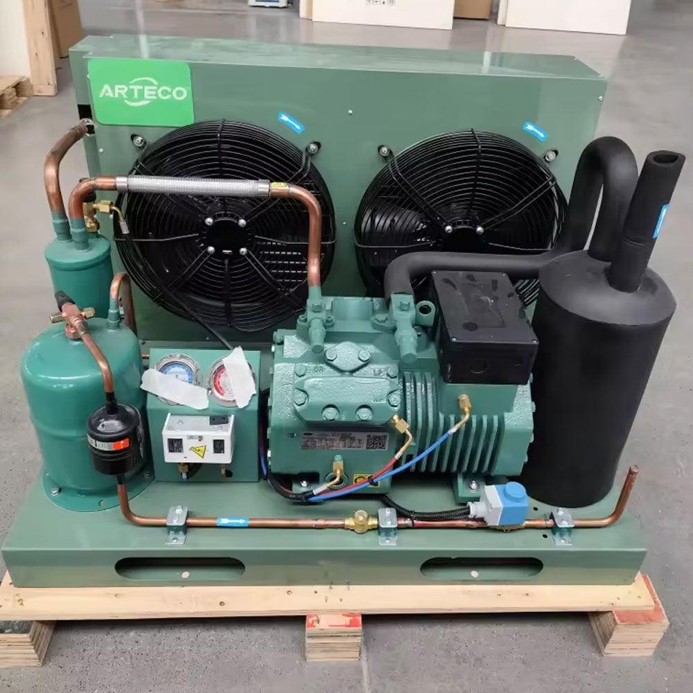 冷蔵室の貯蔵のための単位を凝縮させる Bitzer 6HP 4Ces-6Y の冷蔵室の冷凍の圧縮機の単位の空気冷却