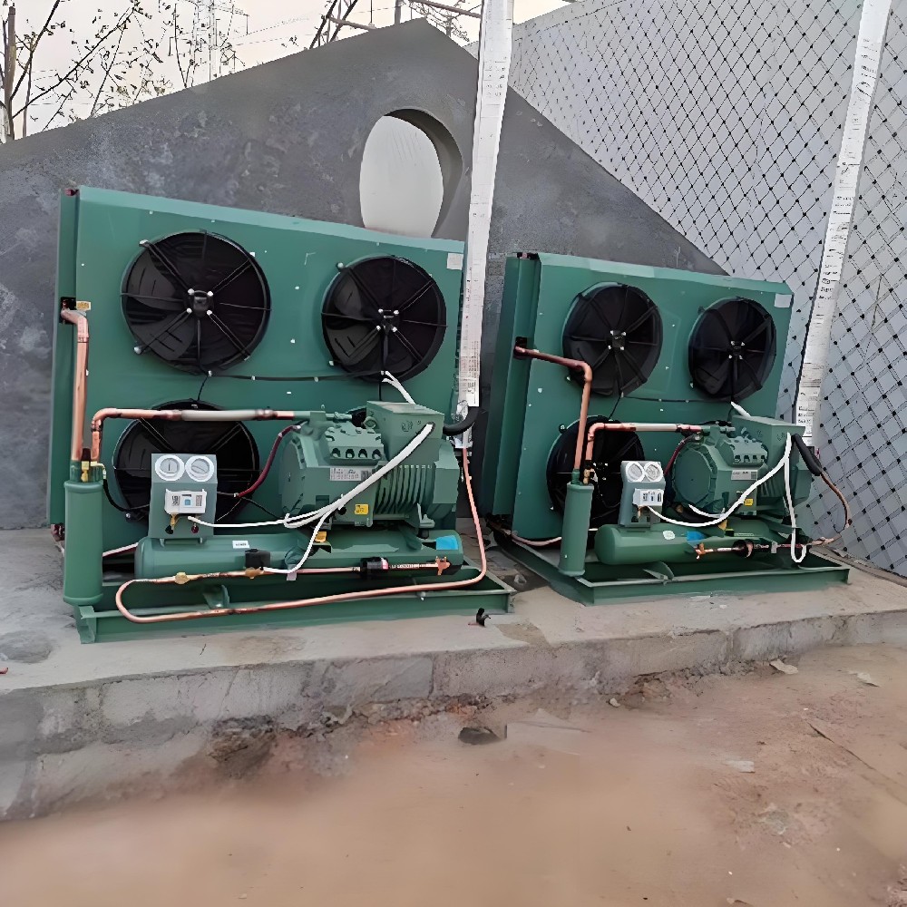 10HP 20HP 30HP 40HP 50HP 60HP 二段階 Bizer の半閉鎖されたピストン圧縮機 R404A の冷蔵室の冷凍の単位