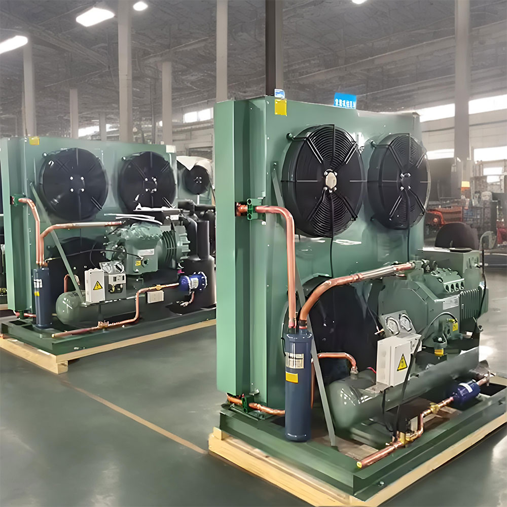 Bitzer の圧縮機 20HP 25HP 30HP Bizer の半封じられたピストン圧縮機 R404A の冷凍の凝縮の単位