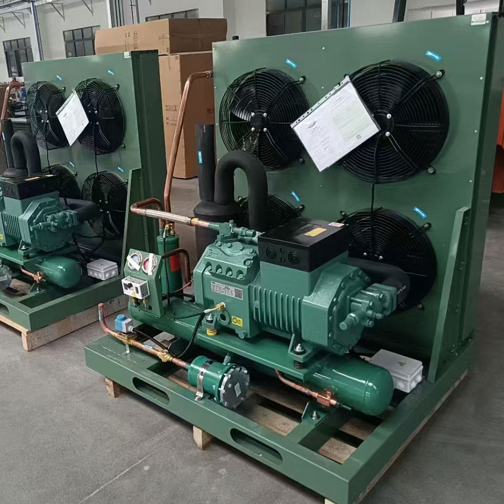 低温 -30℃~-50℃の凍結の単位二段圧縮機 S6F-30.2Y の圧縮機 Bizer の凝縮の単位 R404A R507A