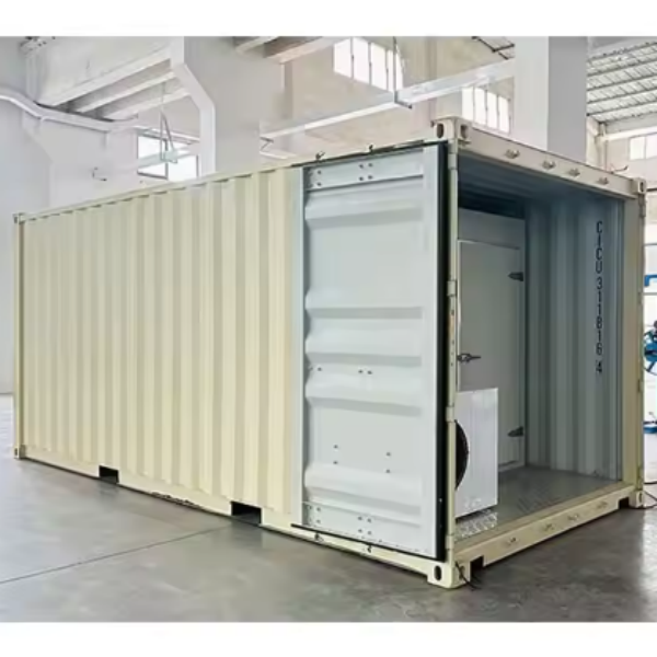 20ft 40ft の冷蔵室の魚の肉は肉の魚のためのクーラーの送風フリーザーの冷蔵貯蔵容器の移動式歩行を貯蔵しました