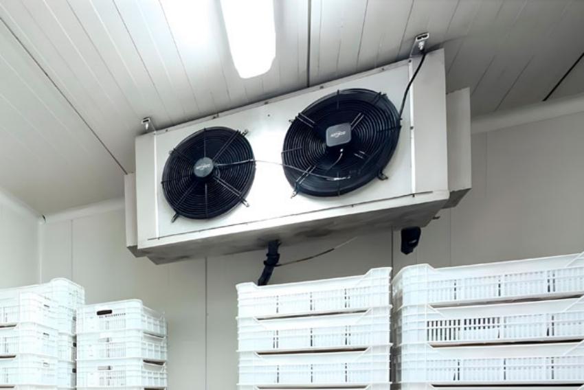 冷凍を理解する: 冷蔵倉庫の核心