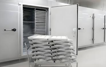 冷凍を理解する： 冷蔵倉庫の核心