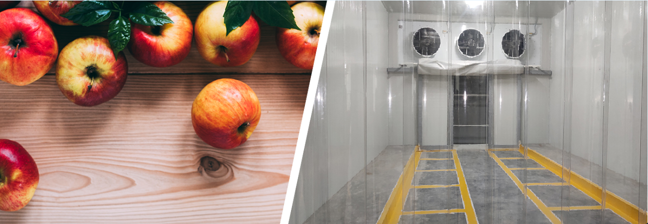 リンゴ低温貯蔵