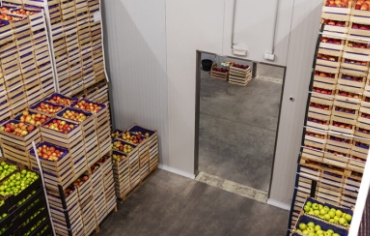 リンゴの低温貯蔵の仕組み