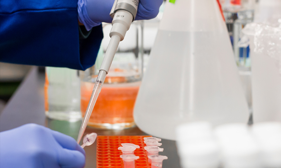 製薬・化学産業